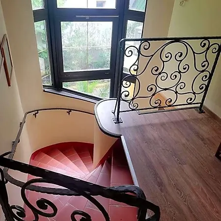فندق مبيت وإفطار Levanda Panzio 3*