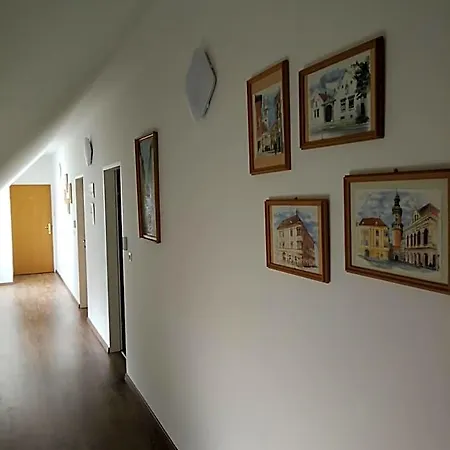 فندق مبيت وإفطار Levanda Panzio 3*
