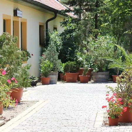 Levanda Panzió Bed and breakfast Kópháza