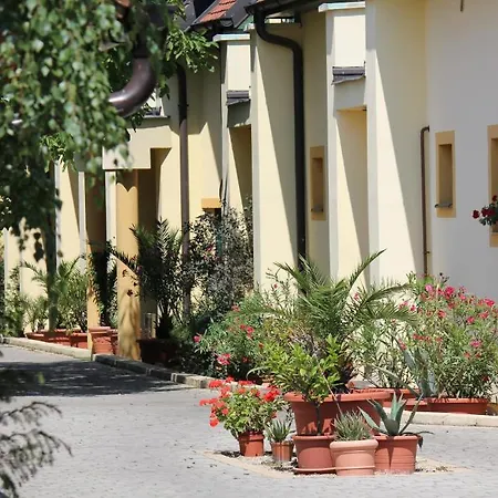Levanda Panzio