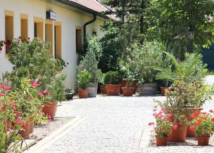 Levanda Panzio فندق مبيت وإفطار Kópháza