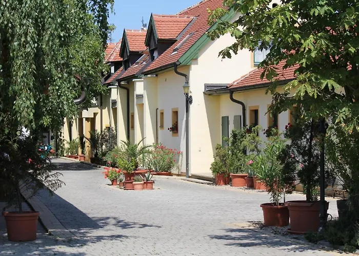 فندق مبيت وإفطار Levanda Panzio